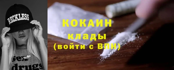 дживик Богданович