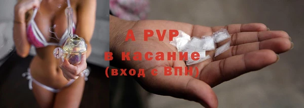 дживик Богданович